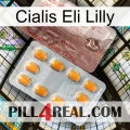 Cialis Eli Lilly new13